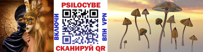 Галлюциногенные грибы MAGIC MUSHROOMS  купить наркоту  Бузулук 